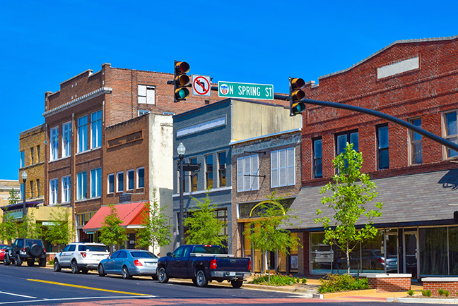 Citizens' Institute on Rural Design